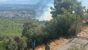 Antalya'da Cevaplanamayan Yangın: Ormanlar Tehlikede!