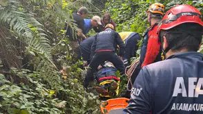 Rize'de ağaç keserken üzerine ağaç düşen vatandaş kurtarıldı