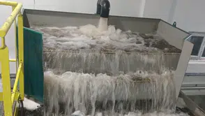 Yoğun Yağışa Rağmen Borçka Susuz Kalmadı