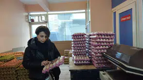 Trabzon’da Yumurta Paketleme Tesislerinde Gıda Güvenliği Denetimi