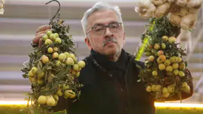 Doğada 2 yılda bir yetişiyor, kilosu 200 TL'den ön siparişle kapış kapış satılıyor!