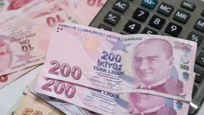 Reel efektif döviz kuru endeksi eylülde 105,45 oldu