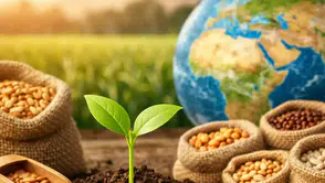 Tohum üretiminde rekor artış