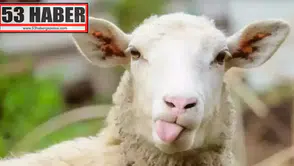 Kurban bayramı ne zaman 2026? Kurban bayramı tatili 9 gün olacak mı? Diyanet takvimi açıklandı! - Kanal 3 Tv