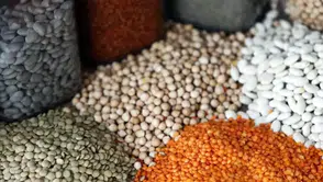 Türkiye’nin gıda ihracatı 2026'da 1,9 milyar dolara ulaştı