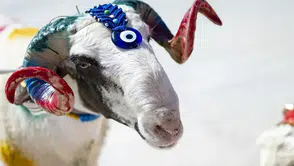 2026 Kurban Bayramı Ne Zaman? Kaç Gün Kaldı, Tatil 9 Gün Olacak mı?