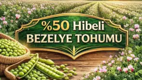 Bayburt’ta Üreticilere %50 Hibeli Bezelye Tohumu Desteği