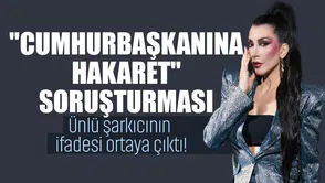 Ünlü Şarkıcının 'Cumhurbaşkanına Hakaret' Soruşturmasındaki İfadesi Gün Yüzüne Çıktı!