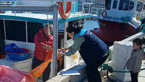 Sürmene’de Su Ürünleri Denetimleri Sürüyor: Av Araçları Kayıt Altına Alındı