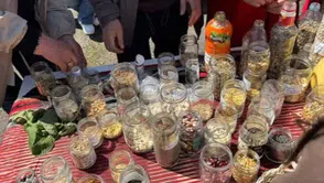 Fındıklı Ziraat Odası’ndan Ata Tohumlarına Anlamlı Destek