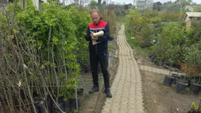 Akçaabat’ta Fidan Bayilerine Zararlı Denetimi: Üreticilere Uyarı