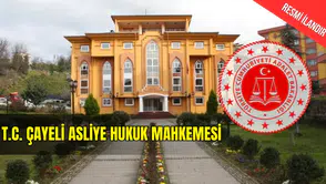 T.C. ÇAYELİ ASLİYE HUKUK MAHKEMESİ