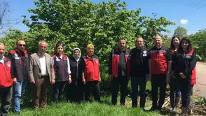 Fındık Üreticilerini Tedirgin Eden Yeni Tehlike: Dal Ucu Kuruması!