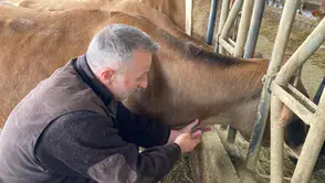 Of’ta Ari İşletmelerde Sağlık Taraması Gerçekleştirildi