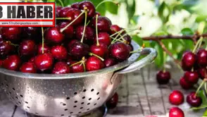 Kiraz fiyatlarında beklenen düşüş gerçekleşti mi, ne kadar oldu?