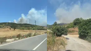 Balıkesir'de orman yangını