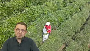 Rize Ticaret Borsası Başkanı Erdoğan'dan ikinci sürgün çay sezonu uyarısı