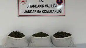 Diyarbakır'da Narkotik Ekiplerinden Büyük Operasyon: Uyuşturucuya Geçit Yok!