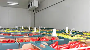 Turizmdeki Tarihi Zirve, Gıda Lojistiğinde Canlanmayı Beraberinde Getirdi!
