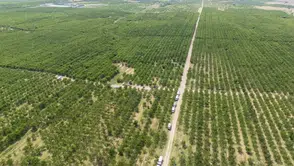 Kazancını katlamak isteyene üretimde yeni sistem!