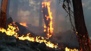 Antalya'da Yangın Alarmı! Evde Çıkan Alevler Ormana Sıçradı