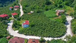 Ordu’da 1,6 Kilometrelik Grup Yolu Betonla Yeniden İnşa Ediliyor!