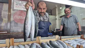 Denizde bereket arttı fiyatlar düştü!