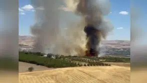 Gölbaşı'ndaki Ormanlık Alanda Yangın Felaketi!