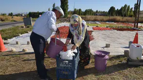Muş'ta Başlayan 25 Dönümlük Proje: Yol Kenarındaki Tezgah ile Avrupa'ya Açılan Başarı Hikayesi
