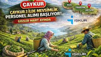 ÇAYKUR 3 İlde Mevsimlik Personel Alımına Hazırlanıyor: Gözler Mart Ayında