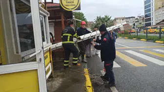 Sürmene İtfaiyesi, mahsur kalan kediyi kurtararak duyarlılık örneği sergiledi!