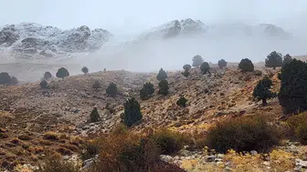 Antalya'ya şaşırtan manzara! Yılın ilk karı yağdı