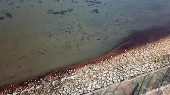 Bakanlık affetmedi! Sahili kirleten firmaya milyonluk ceza
