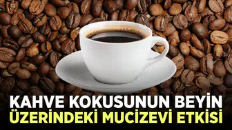 Beynin Üzerindeki Etkileri: Ayrıntılar Burada!