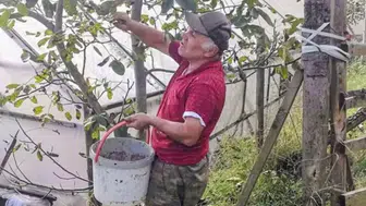 Herkes fındık ekti, o ezber bozdu