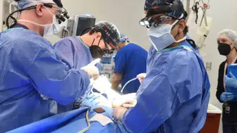 Organ naklinde yeni araştırma: Yaşlı kalpler gençleşebiliyor