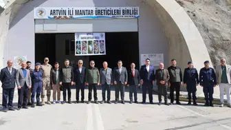 Artvin'de İstiridye Mantarı Tesisi, Kırsal Ekonomiye Canlılık Katıyor