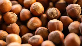 Fındık ihracatında 6 aylık gelir 1,17 milyar doları aştı