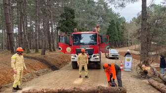 Türkiye Ormancılık Yarışmaları İçin Geri Sayım: Trabzon’da Hazırlıklar Sürüyor