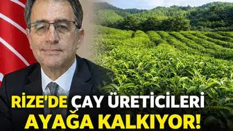 Rize’de Çay Üreticileri Ayakta! 28 Mart’ta Büyük Yürüyüş İçin Geri Sayım Başladı