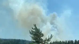 Osmaniye’nin Sumbas ilçesinde orman yangını