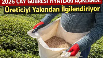 2026 Çay Gübresi Fiyatları Açıklandı: Üreticiyi Yakından İlgilendiriyor