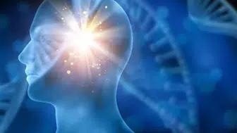 Bilinçaltının Beslenme Tercihleri Üzerindeki Gizli Etkileri