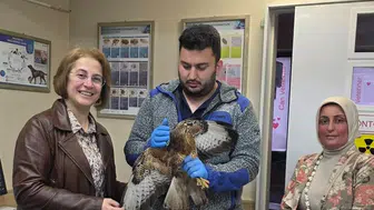 AK Parti Kadın Kolları, Veteriner Hekimler Günü'nde Sağlık İçin Çalışan Veterinerleri Unutmadı