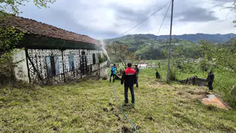 Kahverengi Kokarca ile Mücadele Araklı’da Sürüyor