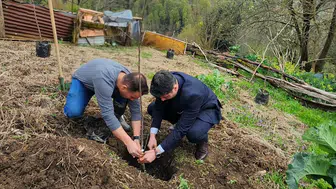 Hemşin’de Demir Elma Yeniden Hayat Buluyor: 240 Fidan Toprakla Buluştu