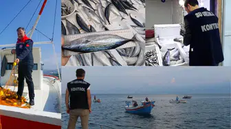 Palamut ve Torik Av Yasağıyla Denetimler Artırıldı