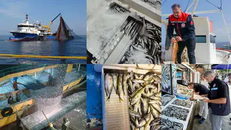 15 Nisan İtibarıyla Balıkçılıkta Genel Av Yasağı Başladı