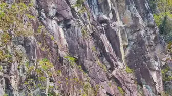 Rize-İkizdere Karayolunda Kaya Tehlikesi Sürücüleri Korkutuyor