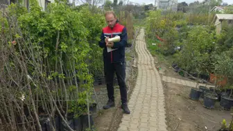 Akçaabat’ta Fidan Bayilerine Zararlı Denetimi: Üreticilere Uyarı